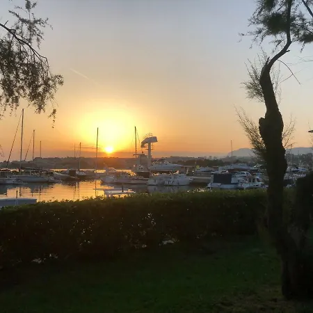 Three Palms